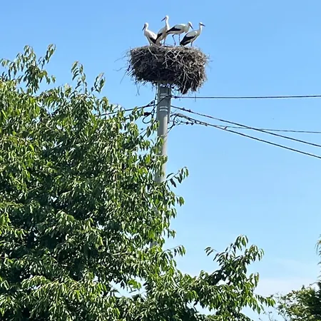 Apartment In Polen- An Den Kaschubischen Seen Lysniewo