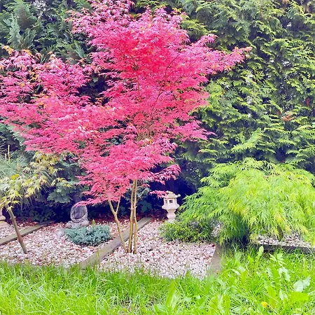 In Polen- An Den Kaschubischen Seen *