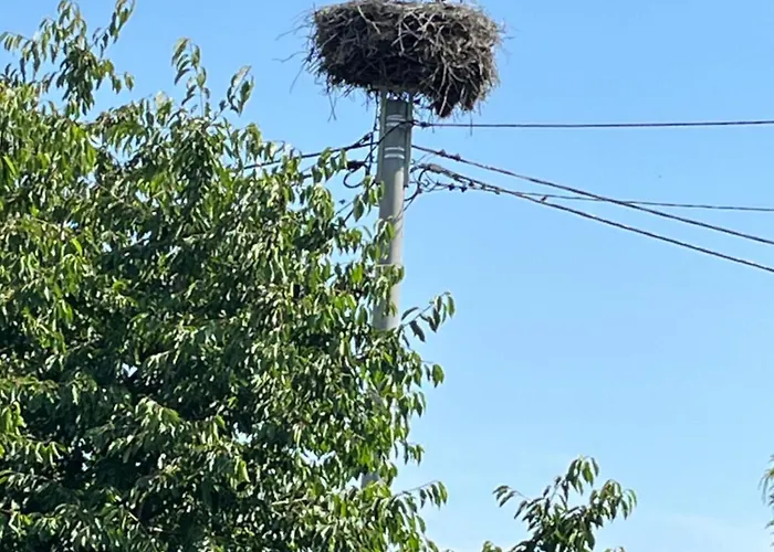 Daire In Polen- An Den Kaschubischen Seen Lysniewo