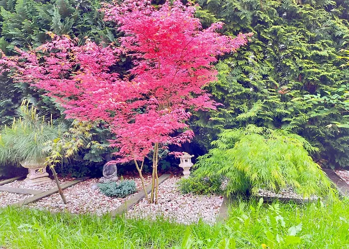 In Polen- An Den Kaschubischen Seen *